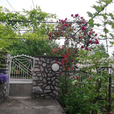 Fuege Vendeghaz Hotel Miskolc Luaran gambar