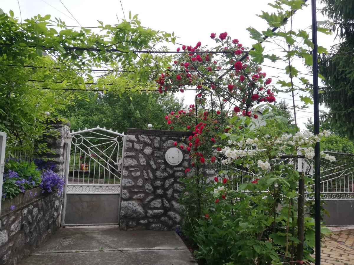 Fuege Vendeghaz Hotel Miskolc Luaran gambar