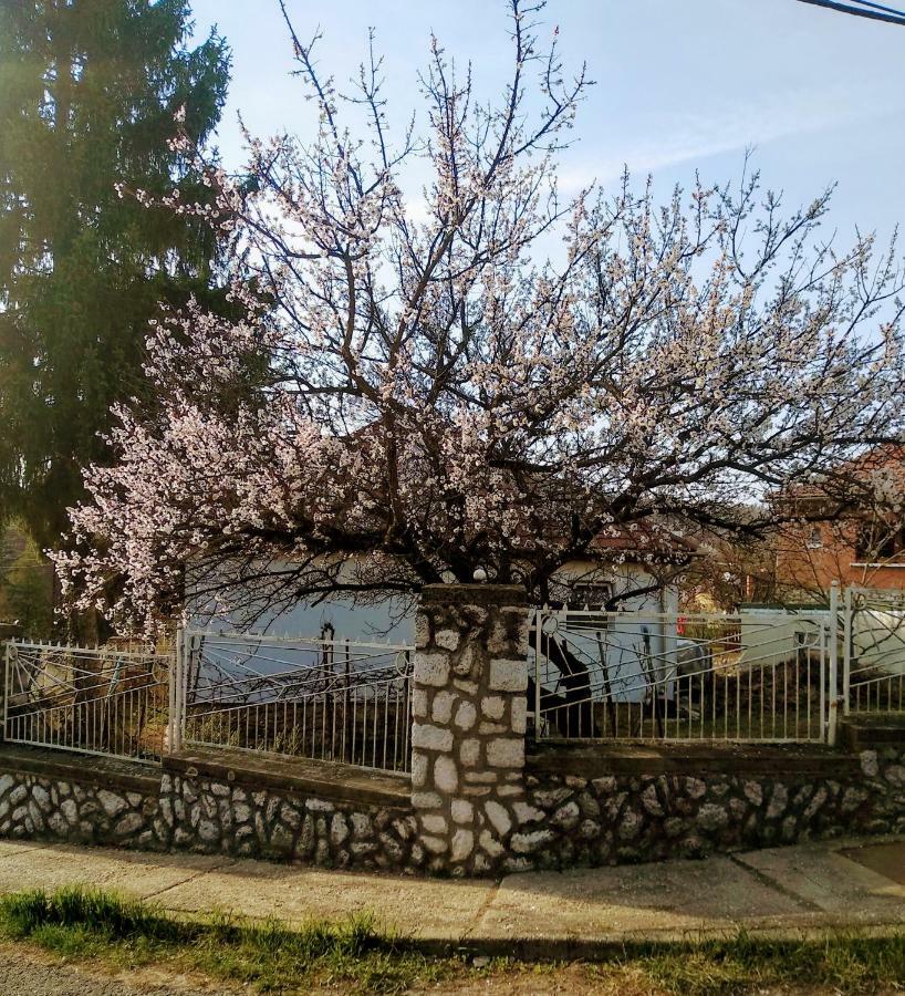 Fuege Vendeghaz Hotel Miskolc Luaran gambar